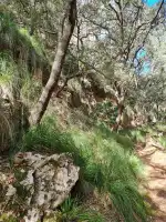 Reserva Park - Imagen 6