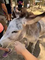 Reserva Park - Imagen 7