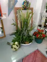 Floristeria Flors i Detalls - Bild 9