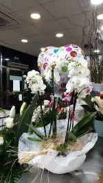 Floristeria Flors i Detalls - Bild 6