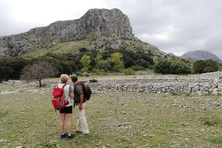 Private Guided Hiking Tour in Pollensa