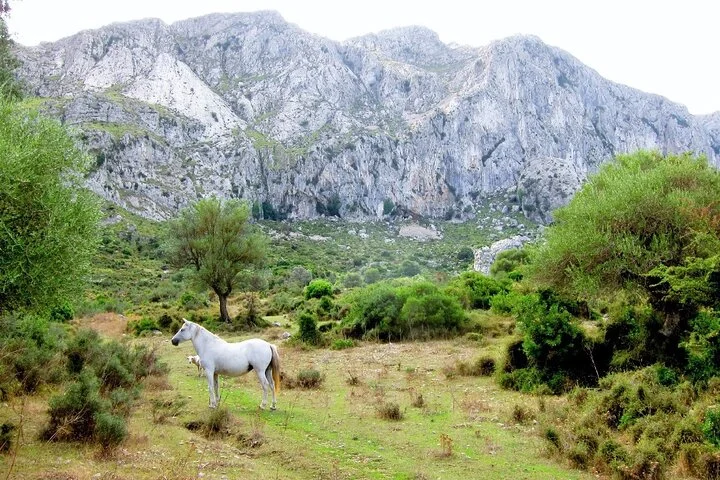 Private Guided Hiking Tour in Pollensa - Image 3