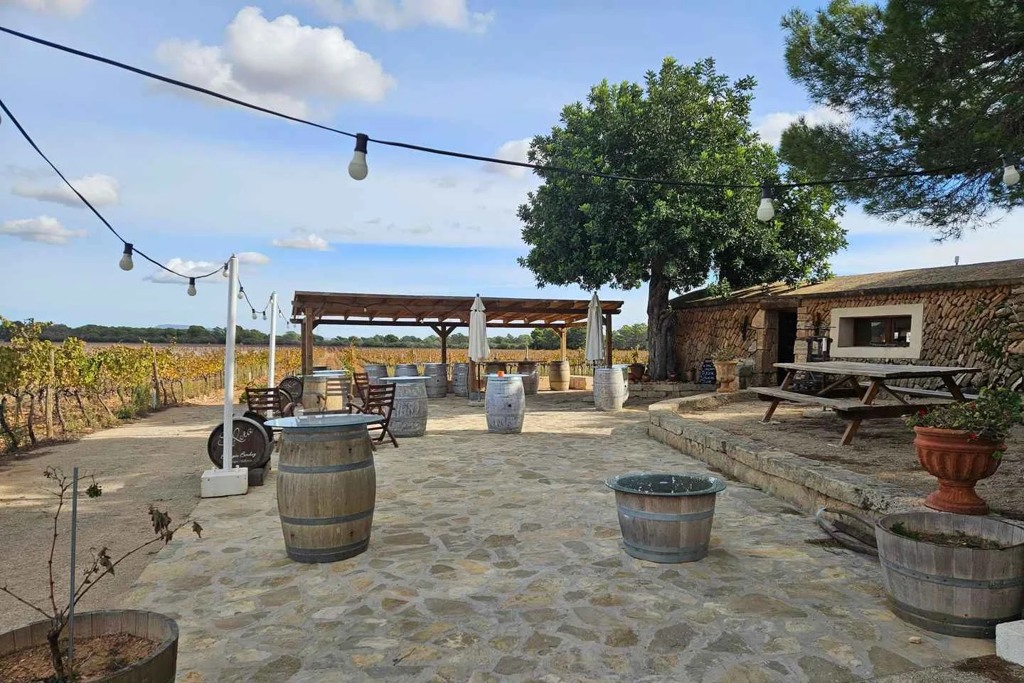 Weinprobe und Führung auf dem Weingut Bodegas Bordoy - Bild 2