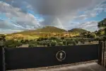 Olivenhain-Besichtigung und Olivenölverkostung auf Mallorca - Bild 1