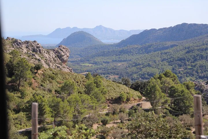 Geführte Tour zum Markt von Pollensa und zum Kloster Lluc - Bild 2
