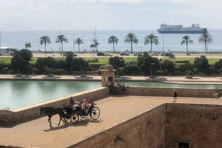 Private Tour zu den Highlights von Mallorca - Bild 2