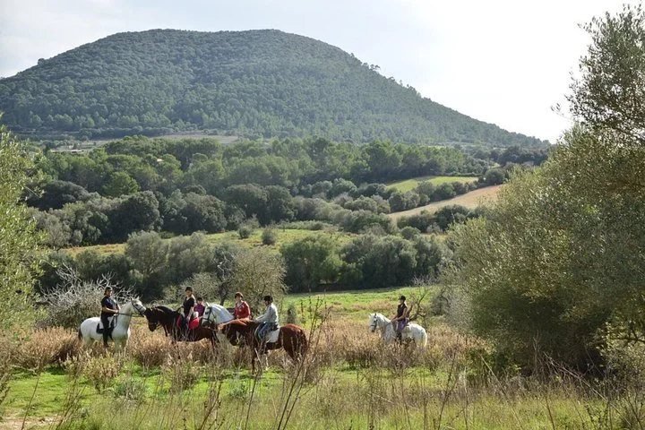 Reitausflug durch die Randa-Täler auf Mallorca - Bild 2