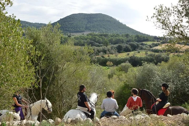 Reitausflug durch die Randa-Täler auf Mallorca - Bild 4