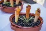 Treurer Olivenöl-Verkostung mit Gourmet-Tapas auf Mallorca - Bild 1