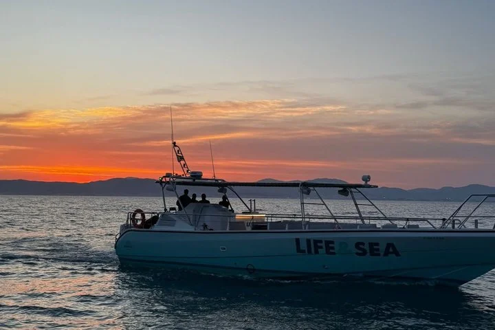 S'Arenal Sunrise Dolphin Watching Sailing Tour - Image 4