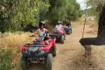Geführte Quad Sightseeing Tour durch Andratx auf Mallorca - Bild 1