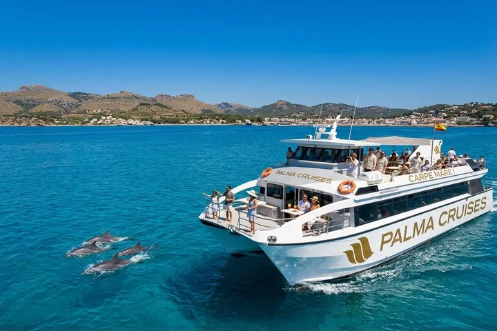Delfinbeobachtung auf dem Katamaran ab Palma de Mallorca - Bild 2