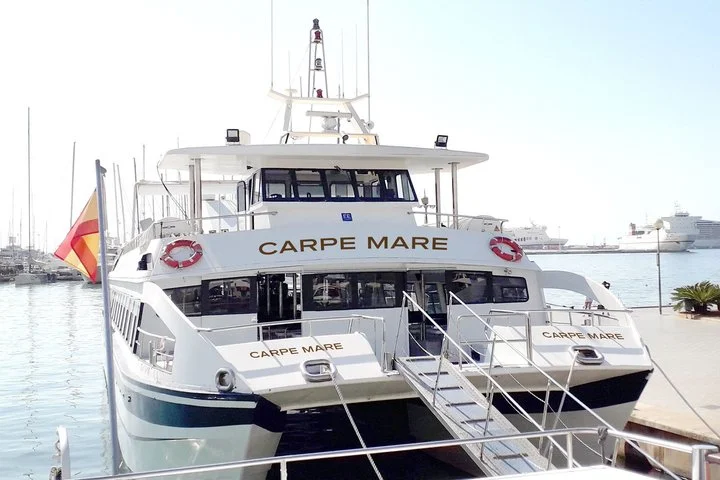 Delfinbeobachtung auf dem Katamaran ab Palma de Mallorca - Bild 4