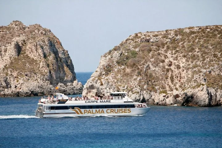 Delfinbeobachtung auf dem Katamaran ab Palma de Mallorca - Bild 5
