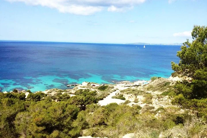 Tauchen lernen im Naturschutzgebiet auf Mallorca - Bild 4