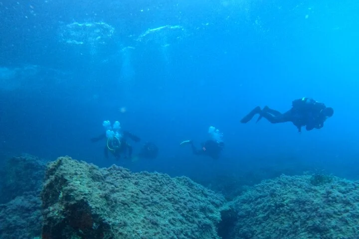 Tauchen vom Boot auf Mallorca: Dein erstes Unterwasser-Erlebnis - Bild 4