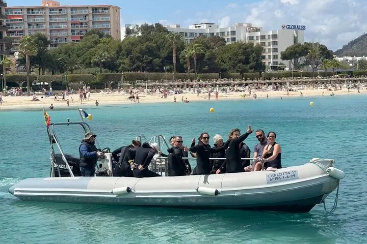 Tauchen vom Boot auf Mallorca: Dein erstes Unterwasser-Erlebnis - Bild 5