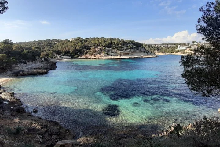 Geführte Strandtour auf Mallorca im Happy Van - Bild 6
