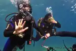 Privates Tauchabenteuer für Anfänger auf Mallorca - Bild 1