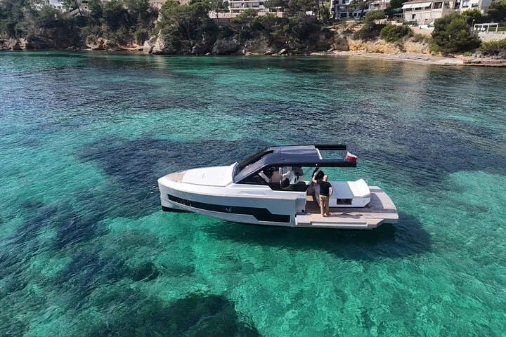 Privater Bootscharter in der Bucht von Palma de Mallorca - Bild 2
