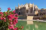 Privater Stadtrundgang durch Palma de Mallorca mit Verkostungen - Bild 1