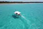 Private Llaut Bootstour zu den südlichen Stränden von Mallorca - Bild 1