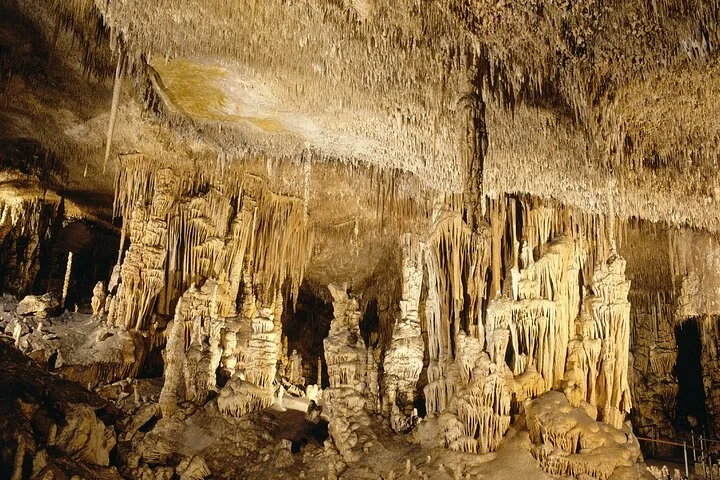 Geführte Tour zu den Drachenhöhlen ab Cala d'Or und Calas de Mallorca - Bild 5