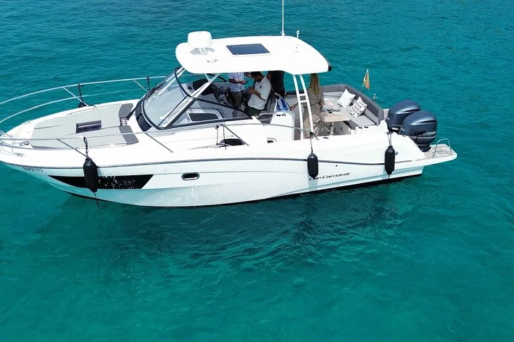 Private Motoryacht Tour in der Bucht von Palma - Bild 5