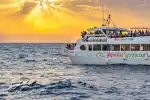 Bootstour zur Delfinbeobachtung bei Sonnenaufgang ab Port d'Alcúdia - Bild 1