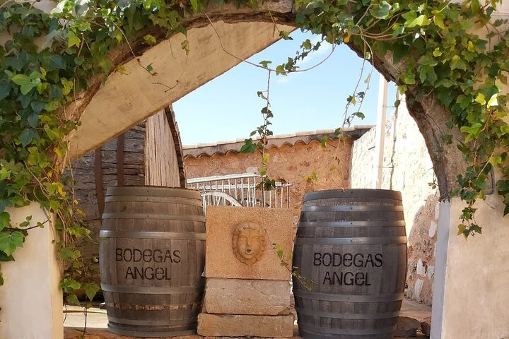 Mallorca Minibustour: Bodega, Weinprobe und Olivenöl-Finca - Bild 3