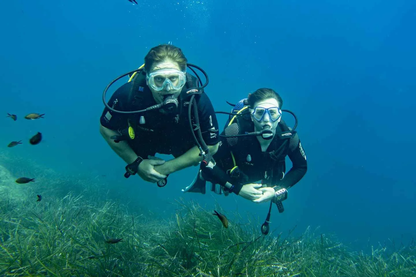2 geführte Bootstauchgänge in Cala d'Or auf Mallorca - Bild 2