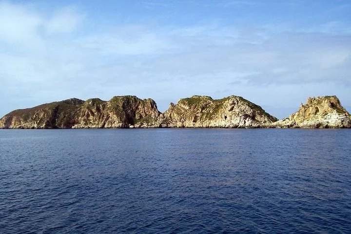 Glasbodenboot-Tour zu den Malgrats-Inseln ab Santa Ponsa - Bild 3