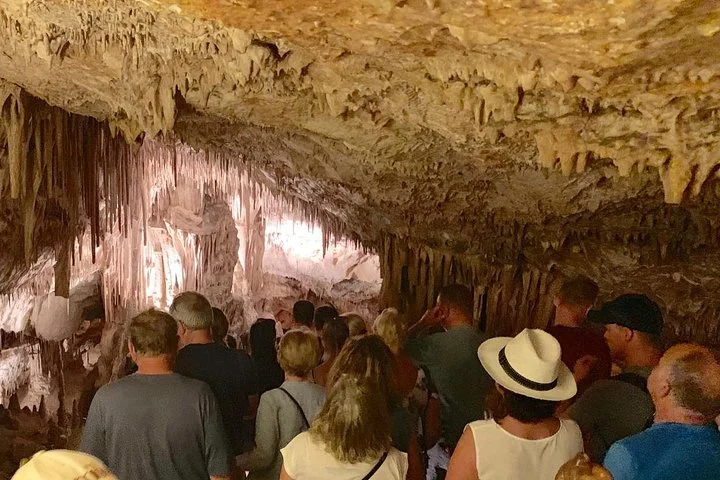 Full-Day Guided Tour to Drach Caves and Porto Cristo in Mallorca - Image 3