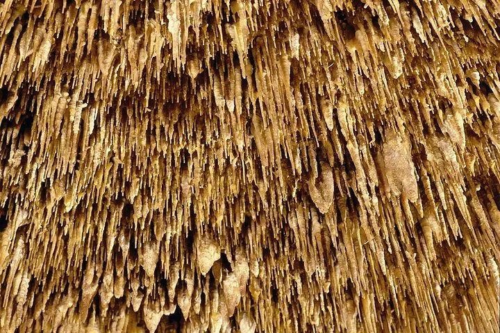 Full-Day Guided Tour to Drach Caves and Porto Cristo in Mallorca - Image 4