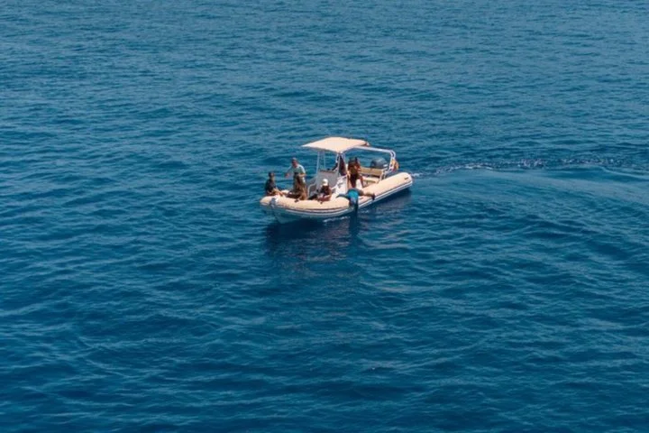 Private Bootstour zur Delfinbeobachtung auf Mallorca - Bild 2