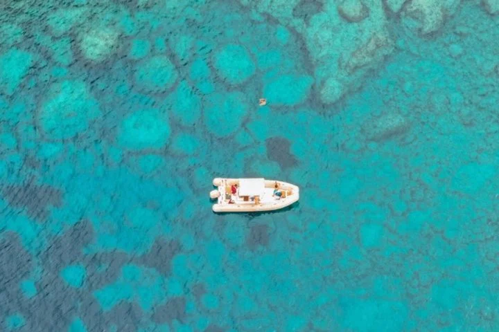 Private Bootstour zur Delfinbeobachtung auf Mallorca - Bild 4