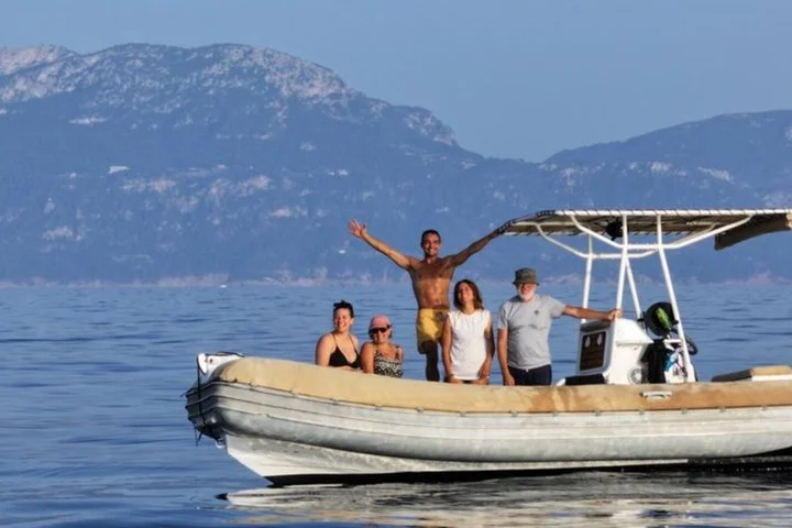 Private Bootstour zur Delfinbeobachtung auf Mallorca - Bild 5