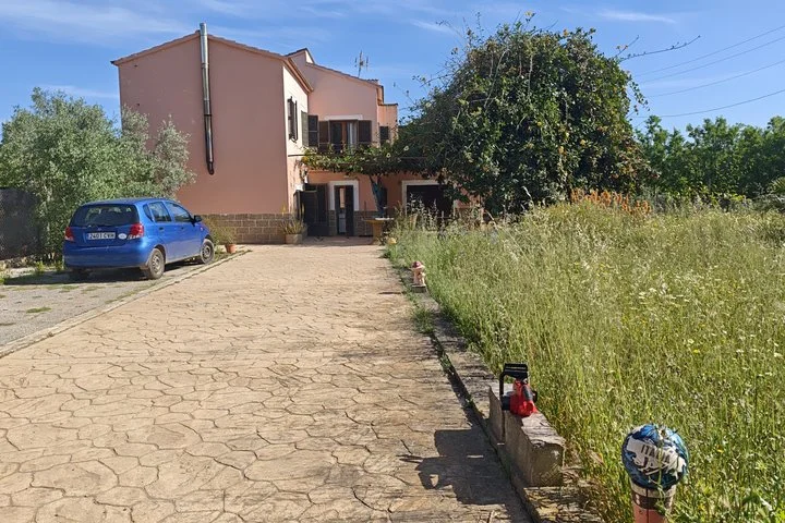 Privates Open Air Kinoerlebnis auf Mallorca - Bild 5