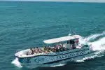 Schnellboot-Tour ab Palma: Höhlen, Klippen und Schnorcheln - Bild 1