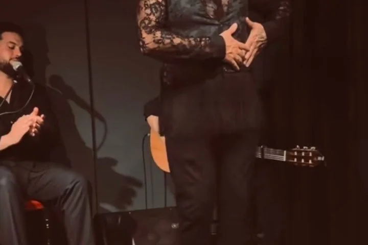 Authentische Flamenco-Show im Tablao Olé in Puerto de Alcudia - Bild 3