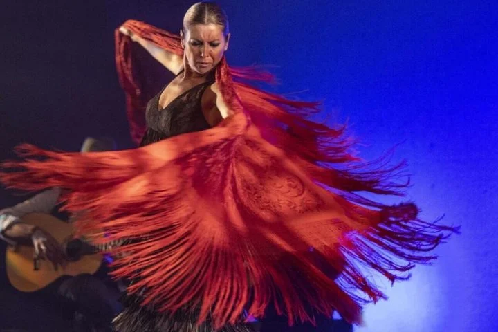 Authentische Flamenco-Show im Tablao Olé in Puerto de Alcudia - Bild 4