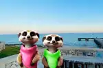Interaktive Familienwanderung zu den magischen Kreaturen von Cala d'Or - Bild 1