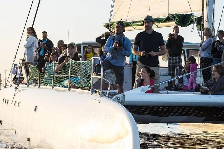 Excursión en catamarán por Cap des Freus y el Parque Natural de Llevant - Imagen 5