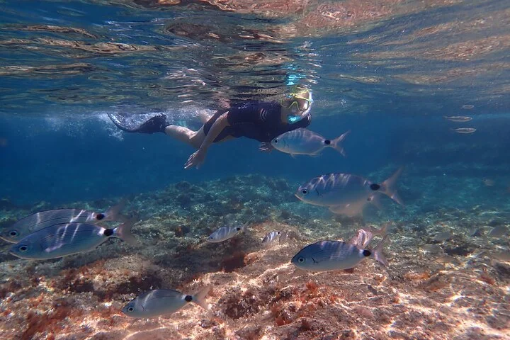 Geführte Schnorcheltour im Naturschutzgebiet auf Mallorca - Bild 2