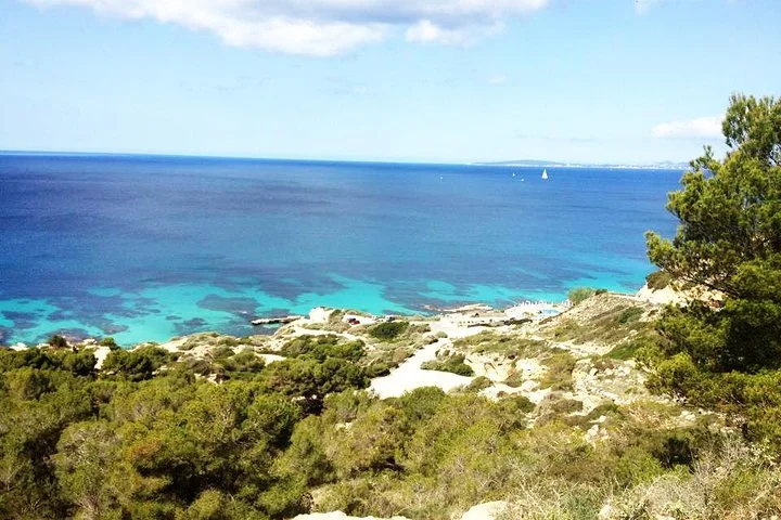 Geführte Schnorcheltour im Naturschutzgebiet auf Mallorca - Bild 3