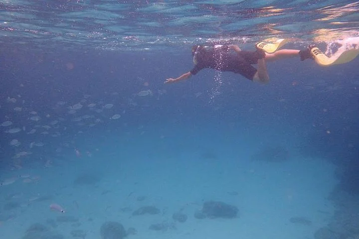 Geführte Schnorcheltour im Naturschutzgebiet auf Mallorca - Bild 5