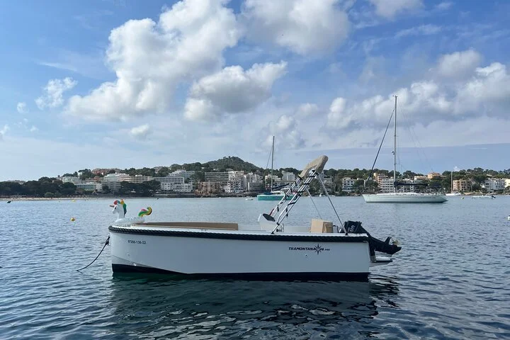 Führerscheinfreier Bootsverleih an der Küste von Santa Ponsa - Bild 4