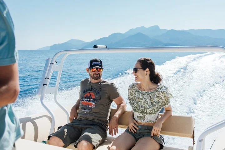Delfinbeobachtung auf Mallorca in kleiner Gruppe - Bild 3