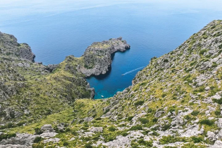 Delfinbeobachtung auf Mallorca in kleiner Gruppe - Bild 5