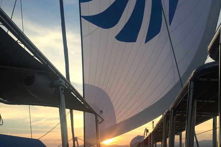 Sunset Catamaran Cruise with Tapas in Palma de Mallorca - Image 2